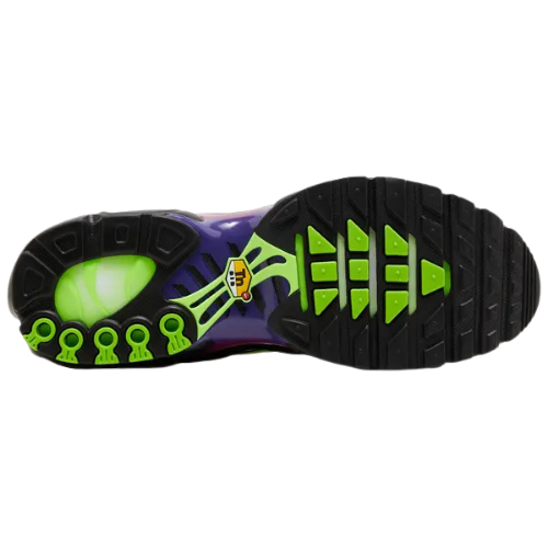 Nike Air Max Plus 'Rebellious Air'