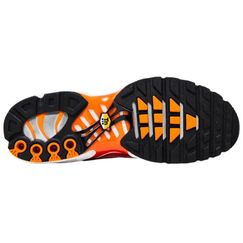 Nike Air Max Plus 'Light Photography - Sport Red'