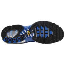 Nike Air Max Plus 'Light Photography - Old Royal'
