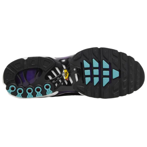 Nike Air Max Plus 'Reverse Grape'