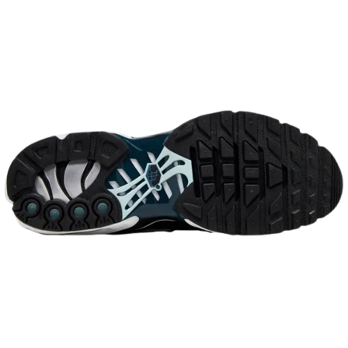 Nike Air Max Plus 'Pure Platinum Court Blue'